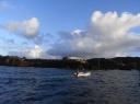fischer vor english harbour