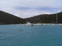 schwimmen vor soggy dollar